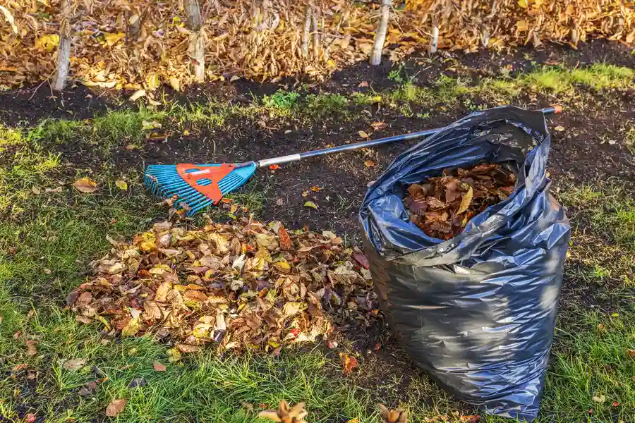 Affordable Yard Cleanup Montrose, CO Affordable Yard Cleanup Montrose, CO
