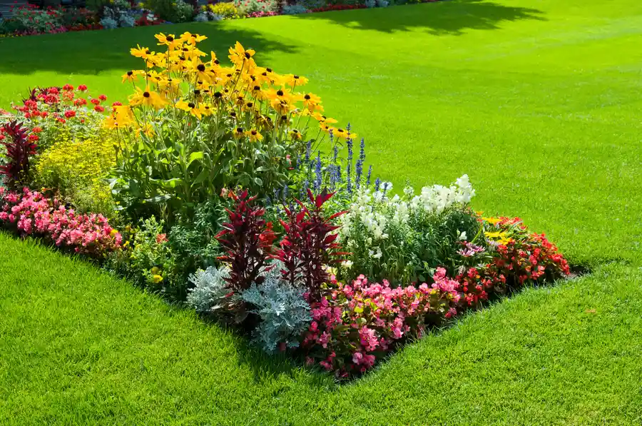Benefits Of Layering Plant Heights In Landscape Design Montrose, CO Benefits Of Layering Plant Heights In Landscape Design Montrose, CO