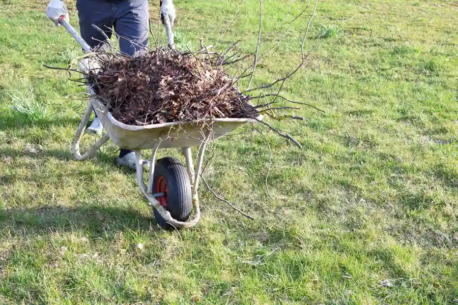 Benefits Of Seasonal Yard Cleanup Services Montrose, CO Benefits Of Seasonal Yard Cleanup Services Montrose, CO