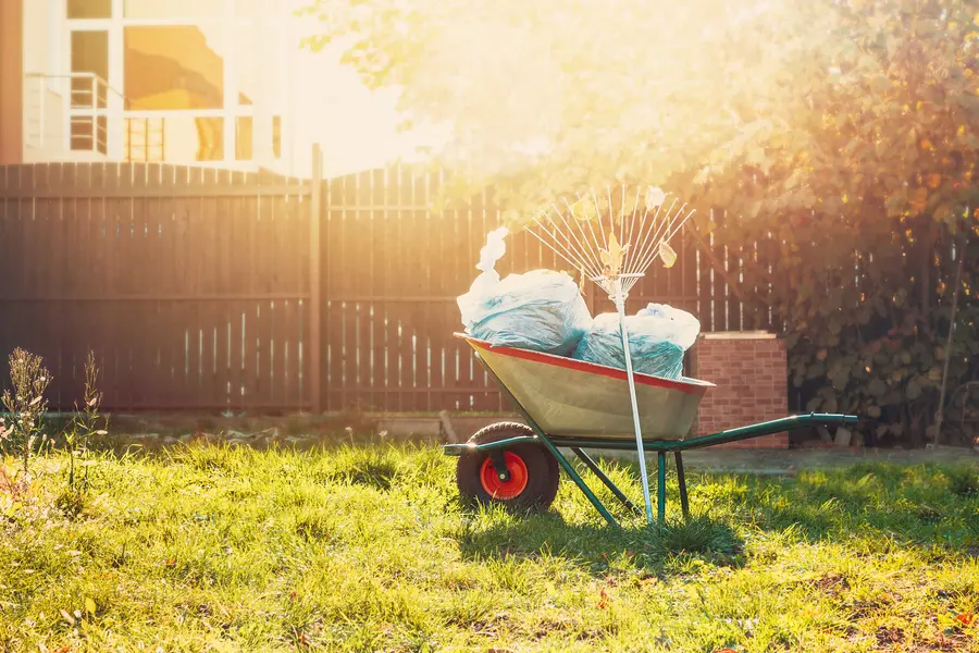 Benefits Of Seasonal Yard Cleanup Services in Montrose, CO Benefits Of Seasonal Yard Cleanup Services in Montrose, CO