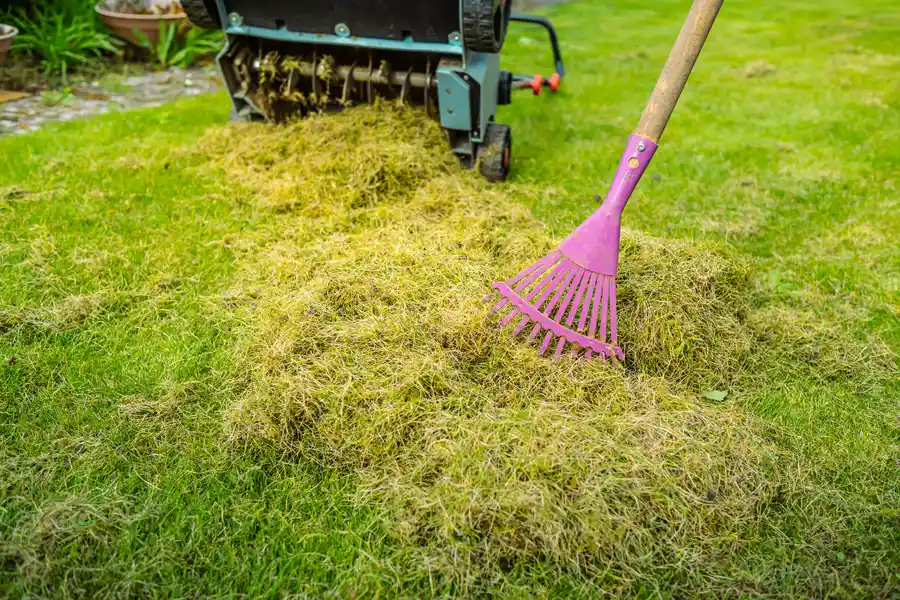 Premium Yard Maintenance Montrose, CO Premium Yard Maintenance Montrose, CO