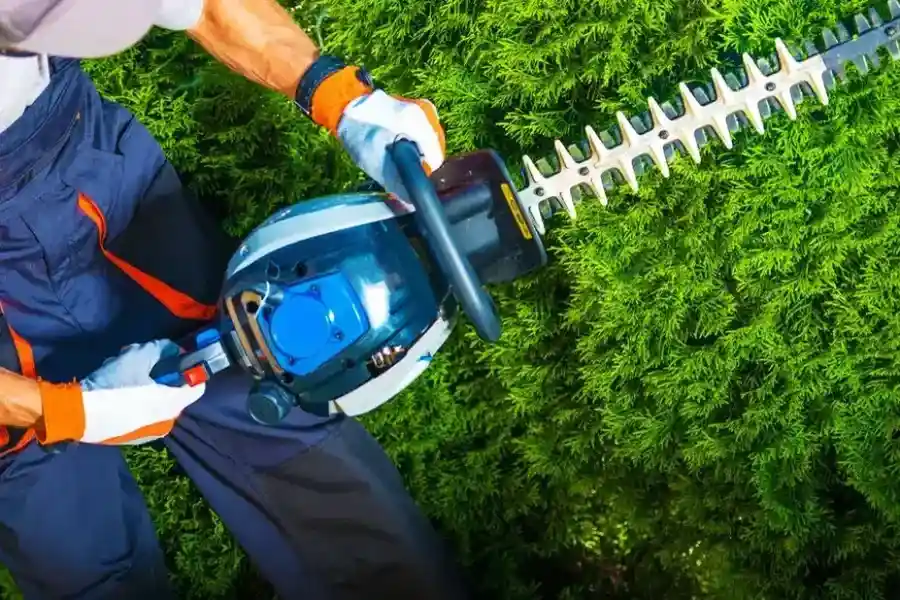 Professional Shrub Trimming Montrose, CO Professional Shrub Trimming Montrose, CO