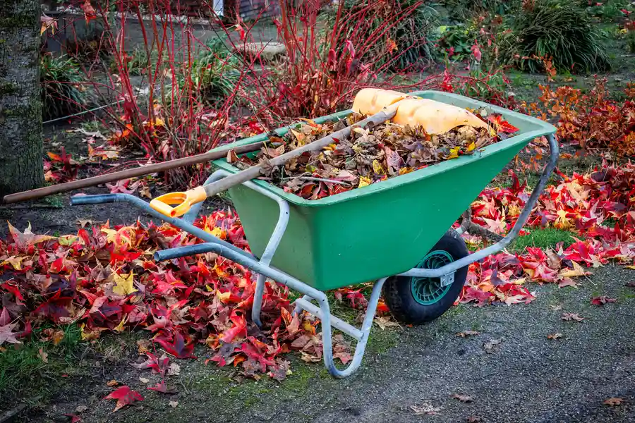 Yard Cleanup And Soil Health Preparation Montrose, CO Yard Cleanup And Soil Health Preparation Montrose, CO