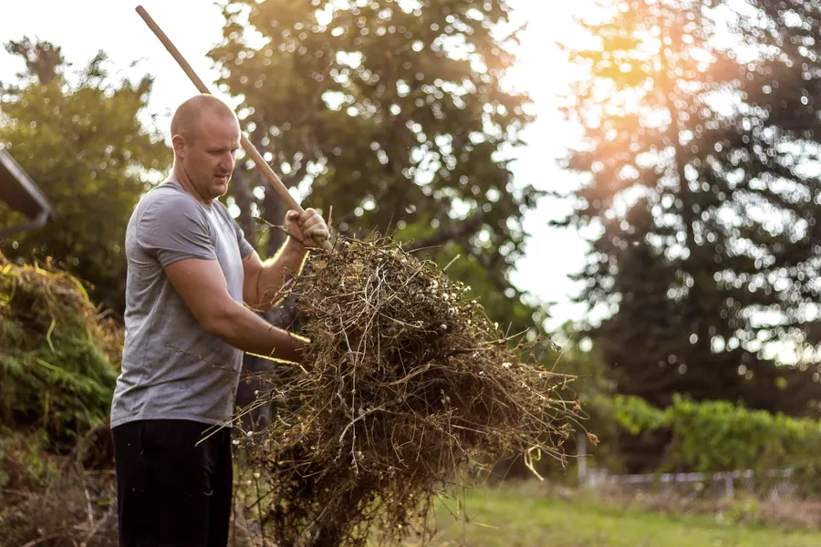Yard Cleanup And Soil Health Preparation in Montrose, CO Yard Cleanup And Soil Health Preparation in Montrose, CO