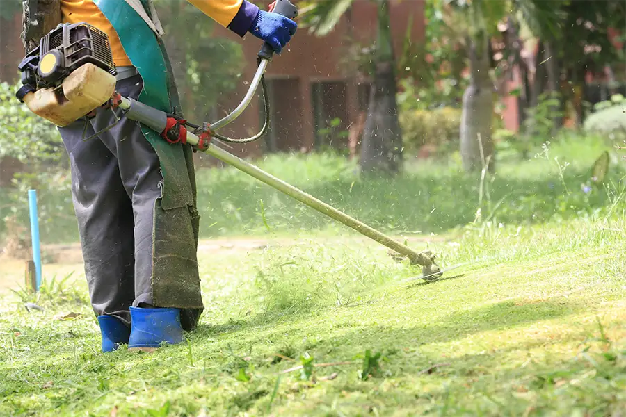 Common Yard Maintenance Tasks For Healthy Landscaping in Montrose, CO Common Yard Maintenance Tasks For Healthy Landscaping in Montrose, CO